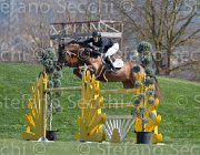 Clayton Mr Darcy TosTour2013- S5 2740 : Arezzo, Arezzo Equestrian Centre, Clayton Joseph, Mr Darcy, Toscana Tour 2013, foto di Stefano Secchi ©